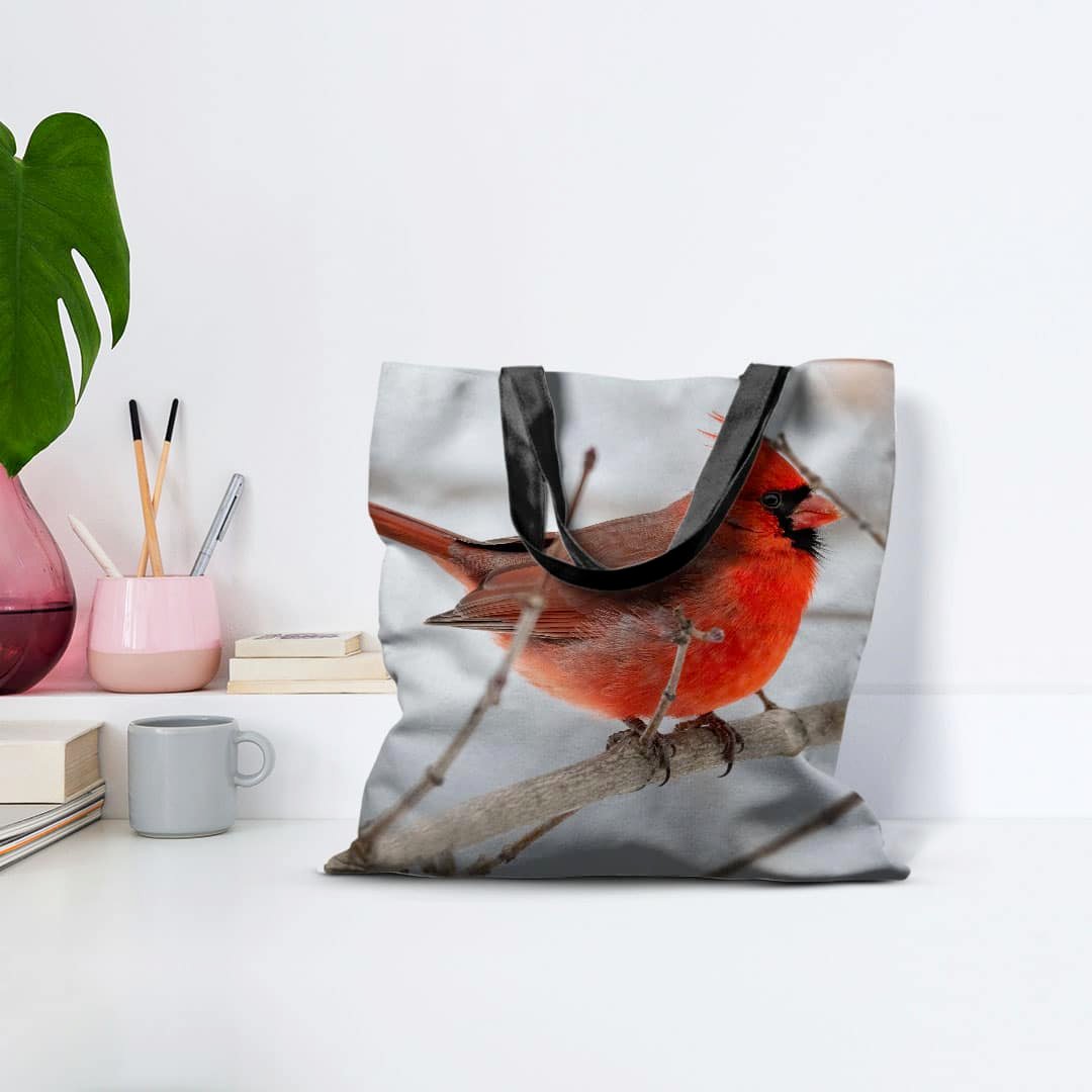 tote bag room 02 66ebcf2a9b4b7666596814